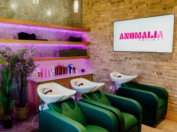Anomalía Society, business photo 3