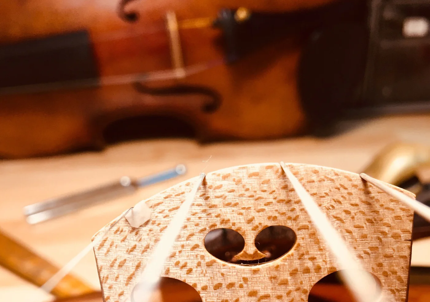 Violin House business photo