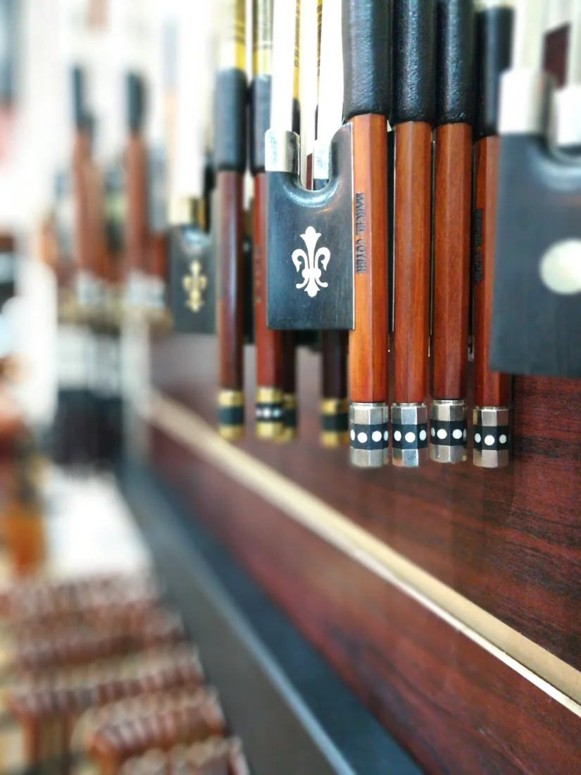 Violin House, business photo 4
