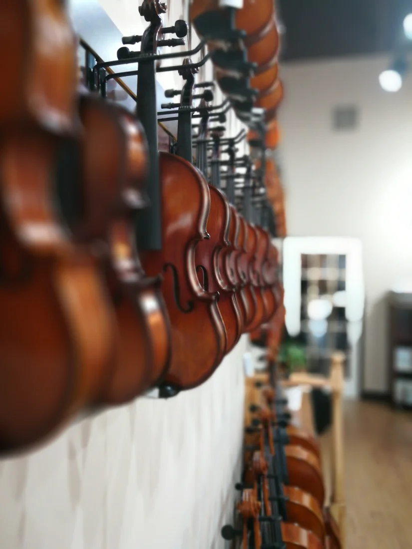 Violin House, business photo 3