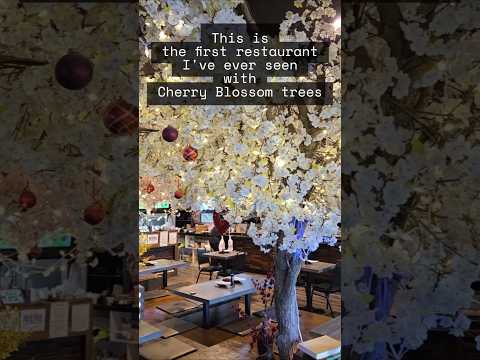 Sushi Kadan in Carrollton video thumbnail